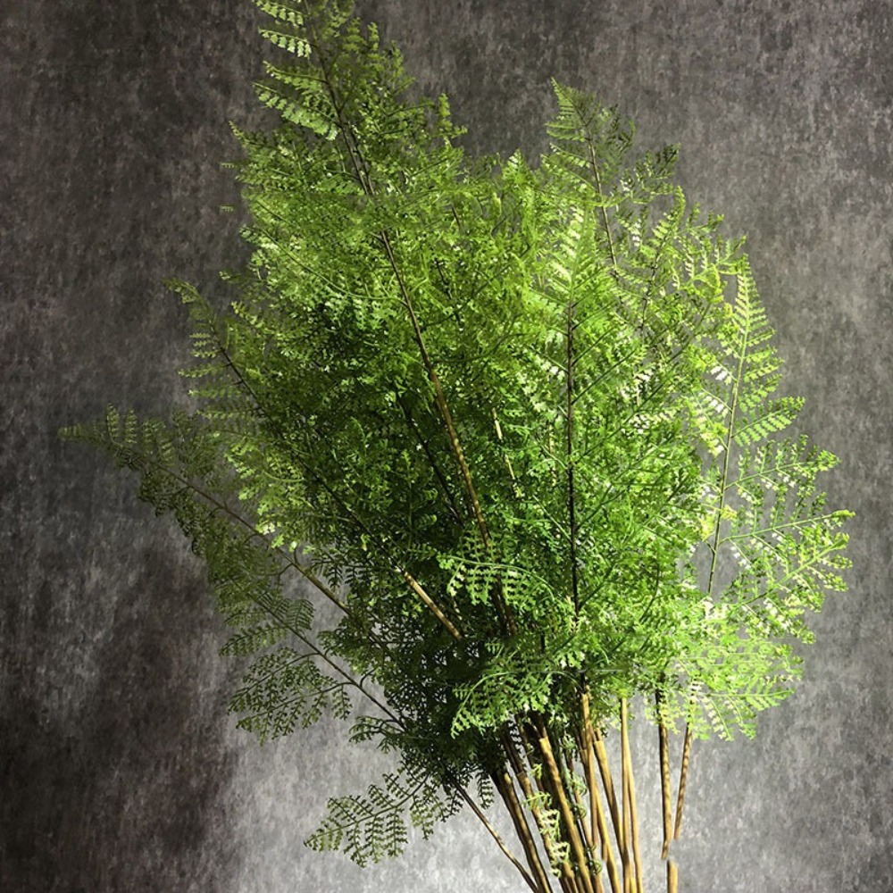Preserved Moss Sheet - Ranting Tanaman Pakis Buatan Realistis Sentuhan