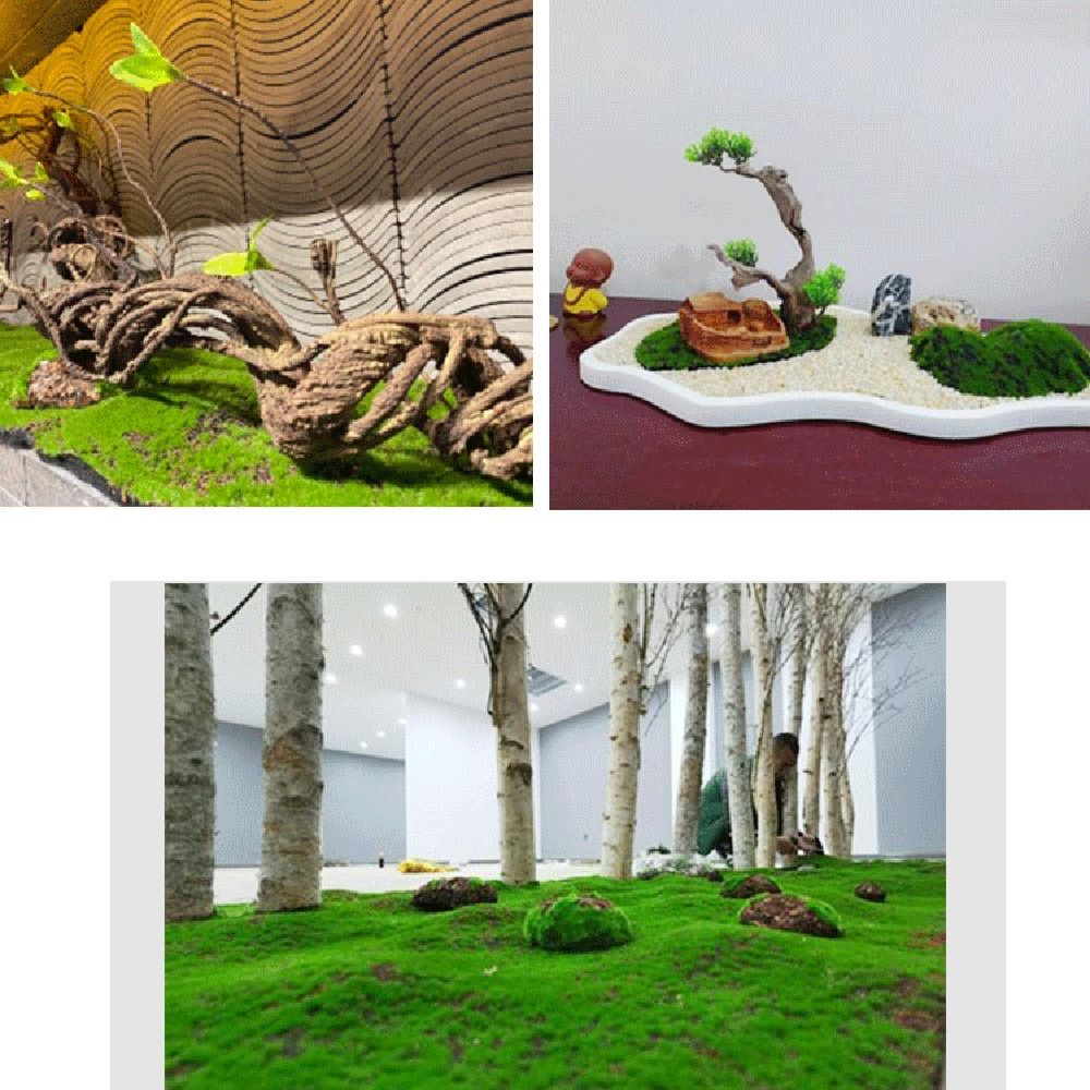 Rumput Lumut Buatan DIY Tahan  - Preserved Moss Sheet ulasan dan harga