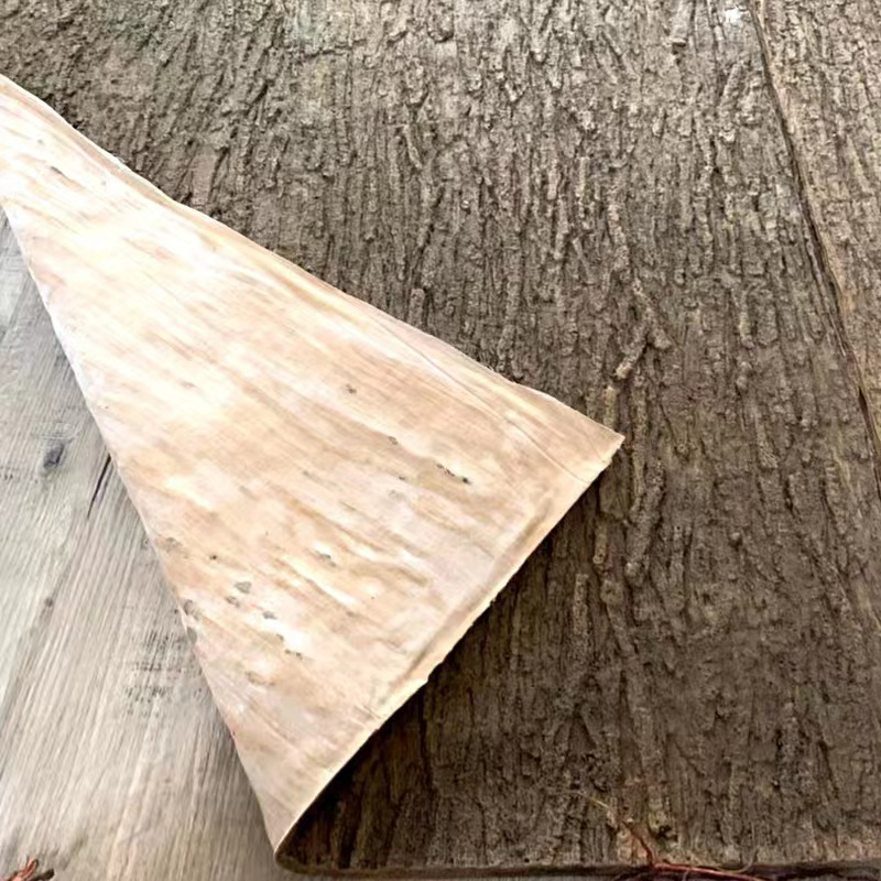 Kulit kayu karet lembut buatan - Preserved Moss Sheet ulasan dan harga