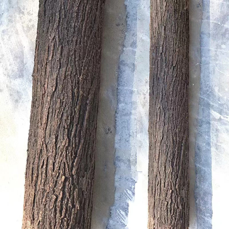Kulit kayu karet lembut buatan - Preserved Moss Sheet ulasan dan harga