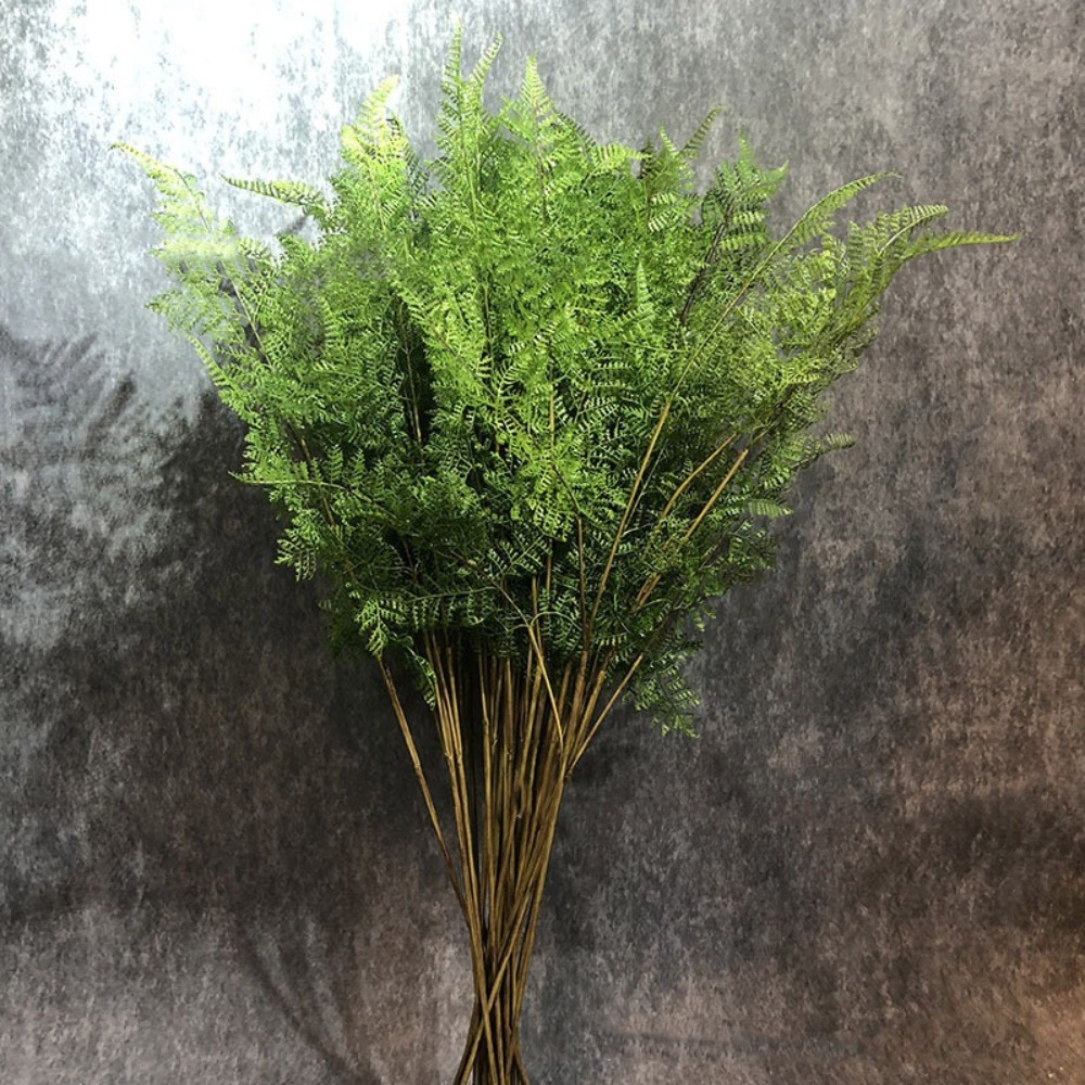 Ranting Tanaman Pakis Buatan R - Preserved Moss Sheet ulasan dan harga