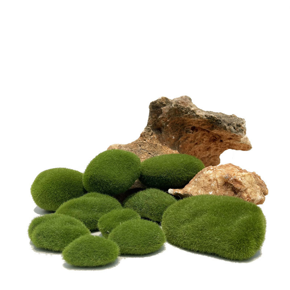 Lumut palsu buatan, rumput tan - Preserved Moss Sheet ulasan dan harga