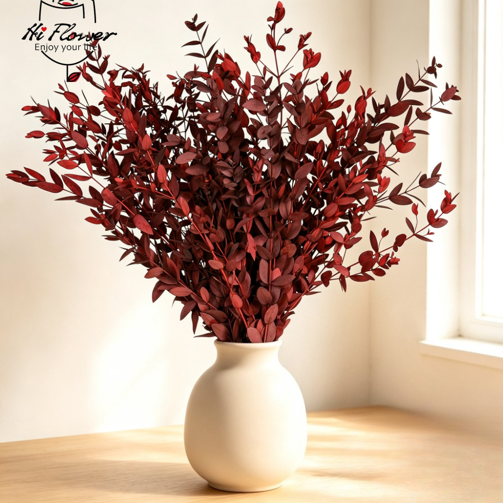 Bunga Kering Alami Buket Eucal - Florist Supply Vases ulasan dan harga